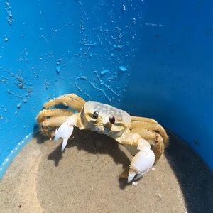 Meet your Posher, Jess